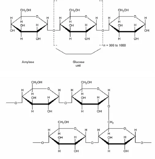 Gambar 3. Struktur Pati (Rowe, et al., 2009 ) 