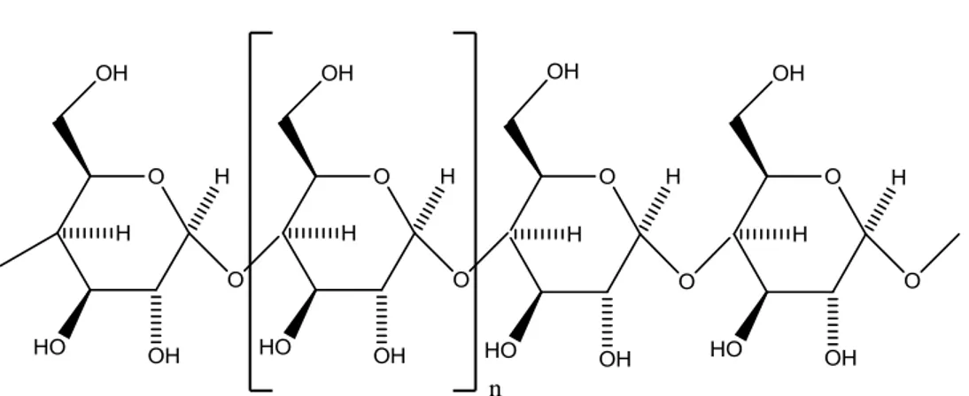 Gambar 2. Struktur rantai molekul amilosa 