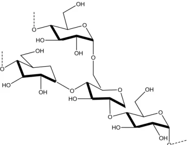 Gambar 3. Struktur rantai molekul amilopektin 