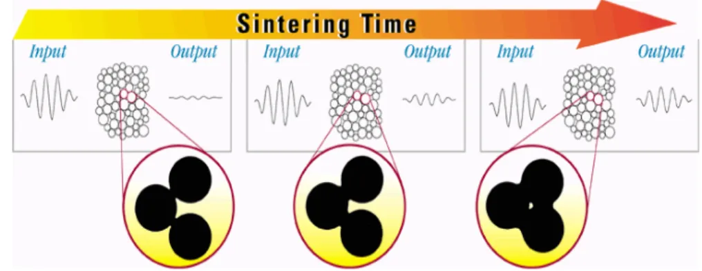 Gambar 16 Hubungan antara butir-butir partikel pada proses sintering 