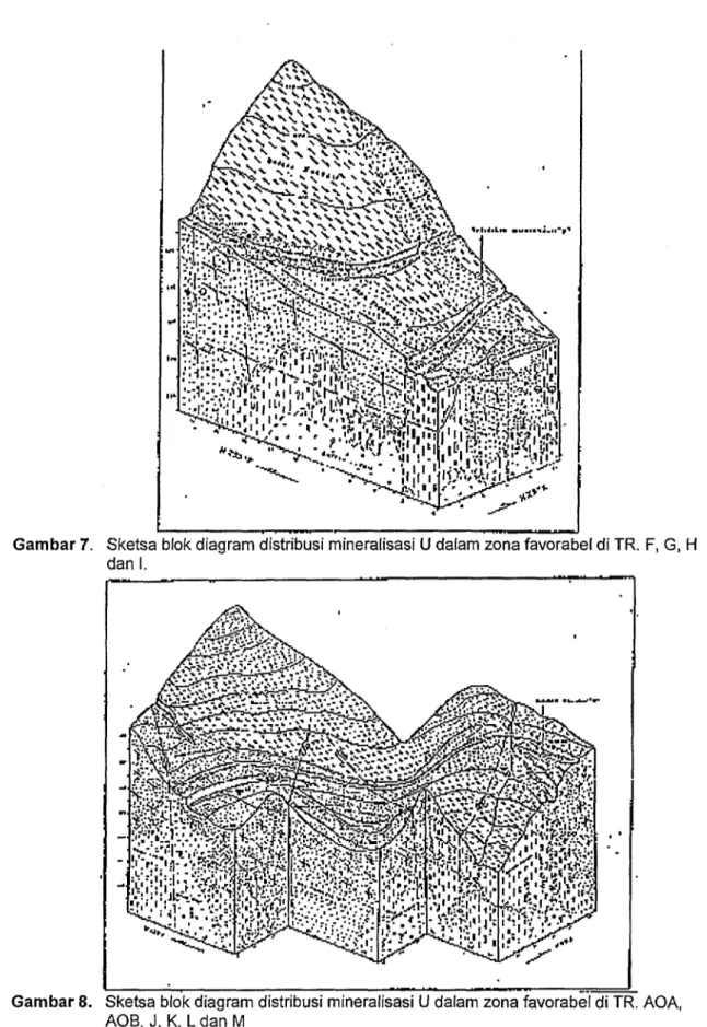 Gambar 7. Sketsa blok diagram distribusi mineralisasi U dalam zona favorabel di TR. F, G, H dan I.