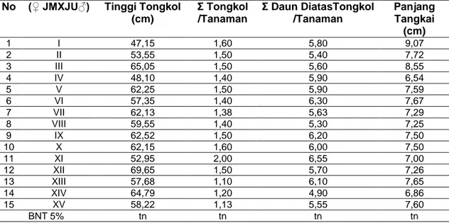 Tabel 1 Rata-rata Tinggi Tongkol, Jumlah Tongkol Per Tanaman, Jumlah Daun di atas Tongkol 