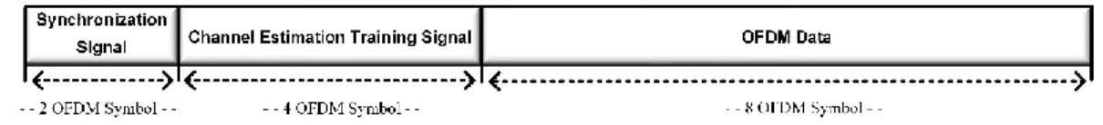 Gambar 12. Struktur Data Frame OFDM 