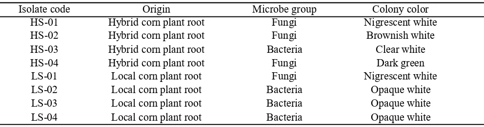 Table 1. Microbes explored from plant roots of local (South Sulawesi) corn and hybrid corn of Soppeng regency