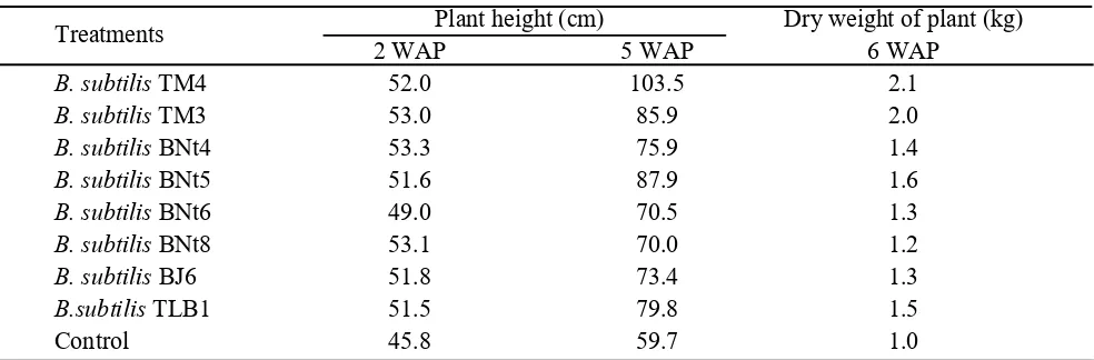 Table 2. The effect of eight biopesticide formulations of B. subtilis on plant height and dry weight of corn plant