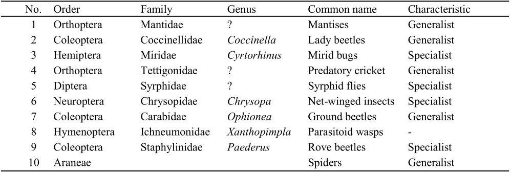 Table 1. Natural enemies found in the corn fields observed