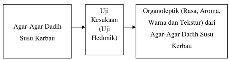 Gambar 4. Bagan Kerangka Konsep 