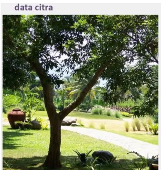 Gambar 4. Data citra 