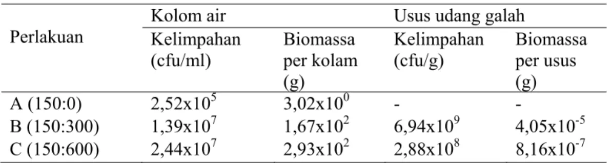 Tabel 5   Rata-rata kelimpahan dan biomassa bakteri heterotrof dari kolom air dan  usus udang galah pada setiap perlakuan 