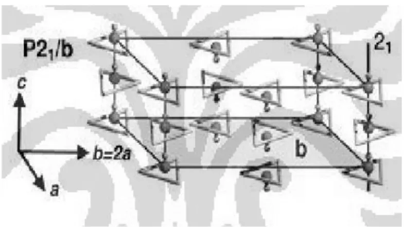 Gambar 2. 4 Struktur monoklinik hydroxyapatite [16] 