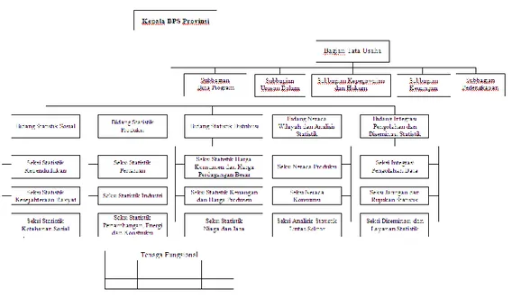 Gambar 1. Struktur Organisasi BPS Provinsi 