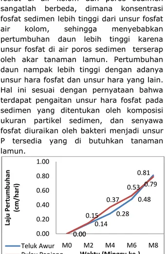 Gambar 2. Grafik Laju Pertumbuhan Lamun 