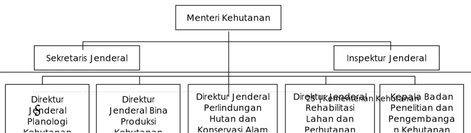 Gambar 5.  Struktur Organisasi Jabatan lingkup Kementerian  Kehutanan   Menteri Kehutanan 