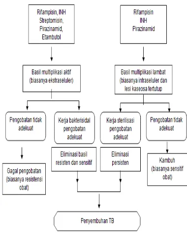 Gambar 3. Alur Diagnosis TB Paru pada orang dewasa (PDPI, 2011) 