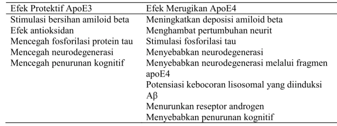 Tabel 2.4 Perbedaan Efek ApoE3 dan ApoE4 pada Susunan Saraf Pusat  Efek Protektif ApoE3  Efek Merugikan ApoE4 