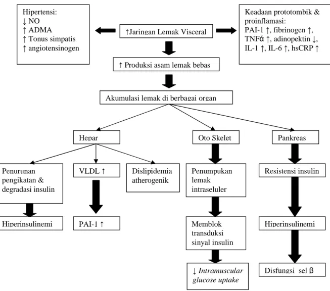 Gambar  1.  peranan  jaringan  lemak  visceral  terhadap  faktor  risiko  metabolik  (Semiardji, 2004) 