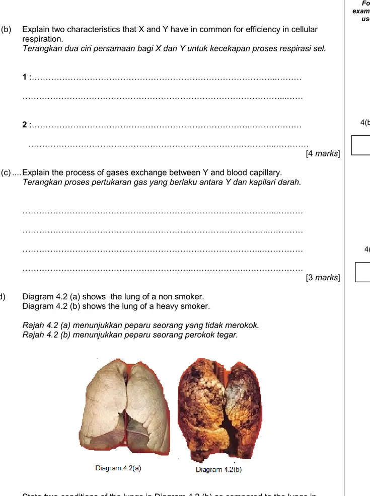 Diagram 4.2 (b) shows the lung of a heavy smoker.