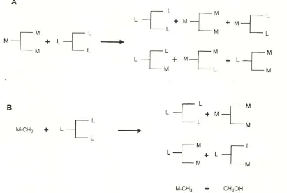 Gambar 2.2. TAG diturunkan dari 1,3 reaksi transesterifikasi yang dikatalisis oleh lipase diantara sebuah TAG rantai menengah (A) atau metil ester (B) dan TAG rantai panjang