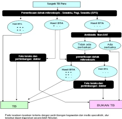 Gambar 5.  Alur Diagnosis TB2