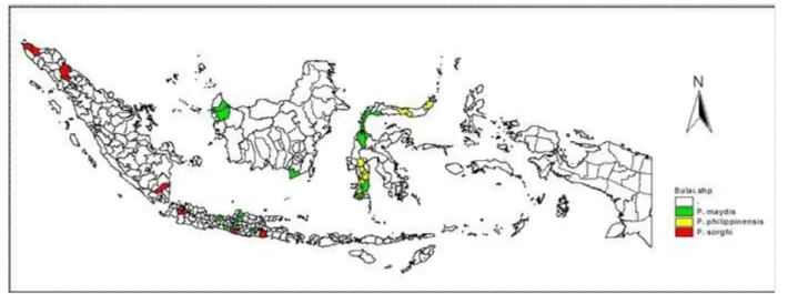 Gambar  13.  Peta  sebaran  spesies  penyebab  penyakit  bulai  di  beberapa  wilayah  di Indonesia