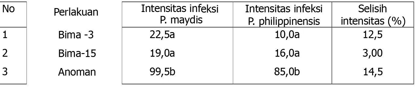 Tabel 9. Rerata persentase serangan penyakit bulai P. maydis   dan P. philippinensis (Kediri  dan Bajeng),  30 HST