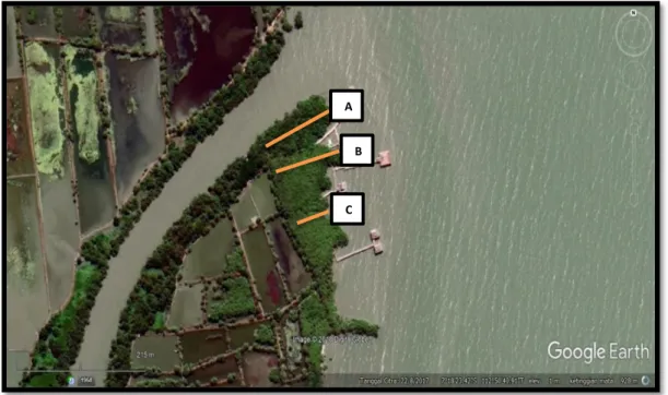 Gambar 3.2 Rencana stasiun sampling (Sumber: Google Earth, 2018) 