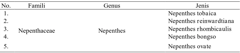 Tabel 3. Jenis-jenis Nepenthes di Cagar Alam Dolok Sibual Buali 