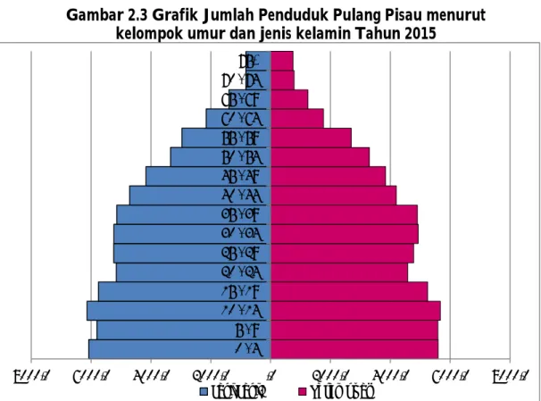 Gambar 2.3 Grafik Jumlah Penduduk Pulang Pisau menurut   kelompok umur dan jenis kelamin Tahun 2015 