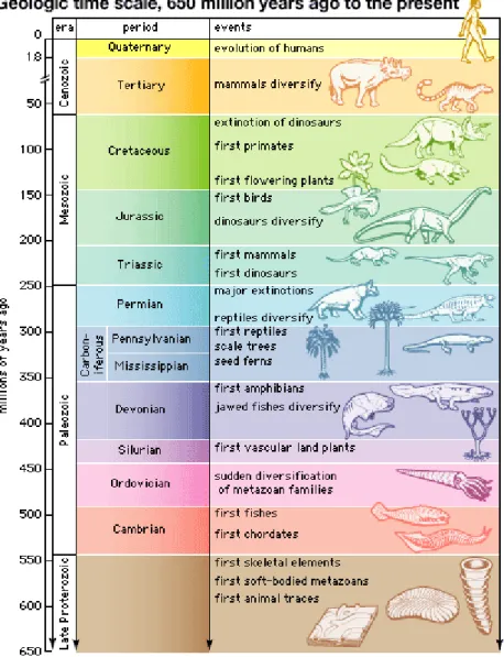Gambar 10-1   Umur Bumi dalam Skala Waktu Geologi dan Peristiwa  dan Kejadian pada setiap periode