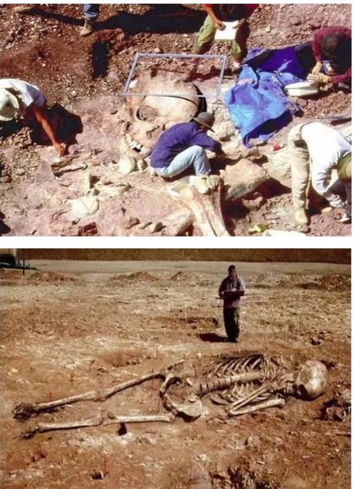Gambar 10-3  Kerangka manusia “Aad”  yang  diketemukan oleh tim eksplorasi  perusahaan minyak Aramco di “Arabian Desert” atau  “Rab-Ul-Khalee”