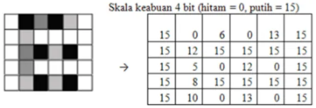Gambar 2.1 Citra Asli 