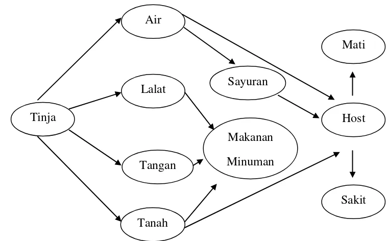 Gambar 2.2 Skema Penularan Penyakit dari Tinja 