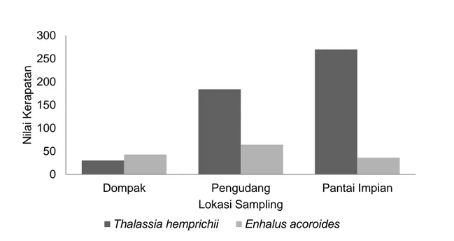 Gambar 3. Kerapatan lamun E. Acoroides dan T. hemprichii pada masing-masing lokasi penelitian 