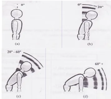 Gambar 5 Range pergerakan punggung  