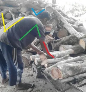 Gambar 6 posisi saat mempersiapkan pengambilan kayu  