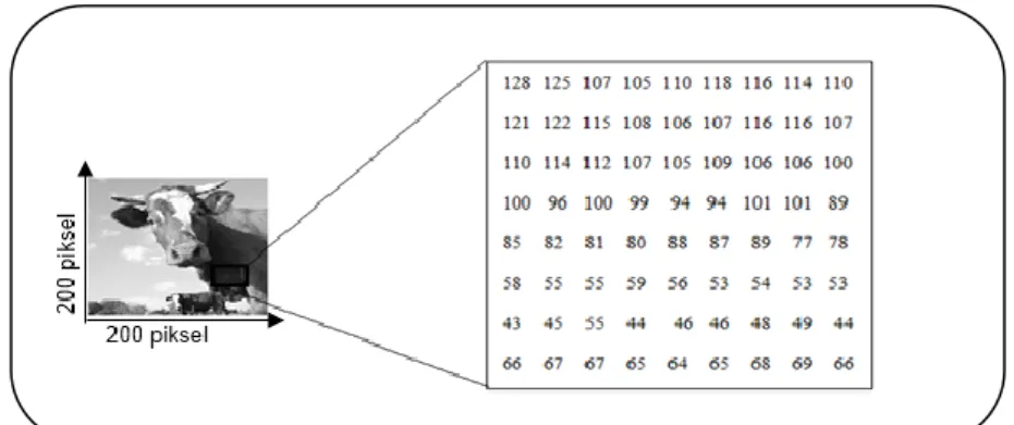 Gambar 2.1. Ilustrasi Citra dengan Matriks 200 x 200 (Putra, 2010) 