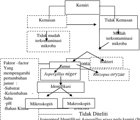 Gambar 3.1 kerangka konseptual Identifikasi Aspergillus niger pada kemiri (Studi di pasar  Kanor Bojonegoro