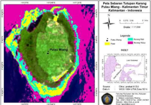 Gambar 2.1. Peta P. Miang dan sebaran terumbu karang berdasarkan citra  satellite.  