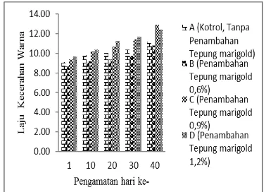 Gambar 2. Nilai Rerata Intensitas Warna Ikan Komet. 