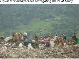 Figure 8: Scavengers are segregating waste at Landfil. 