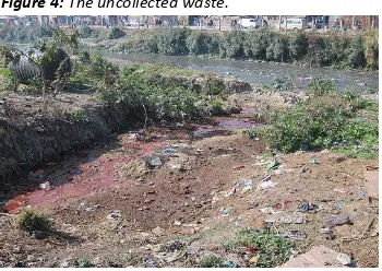 Figure 4: The uncollected waste. 