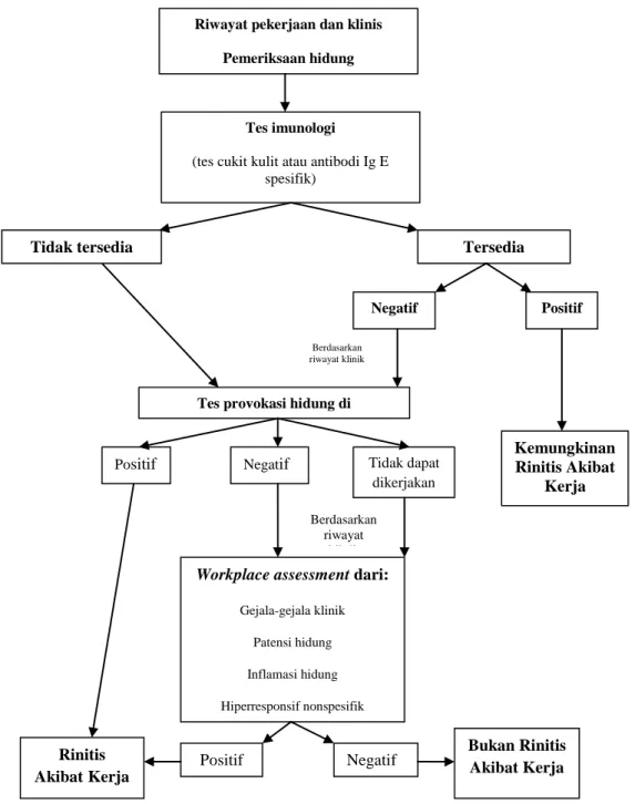 Gambar 2.3. Algoritme diagnosis rinitis akibat kerja (Moscato dkk., 2009).       Riwayat pekerjaan dan klinis 