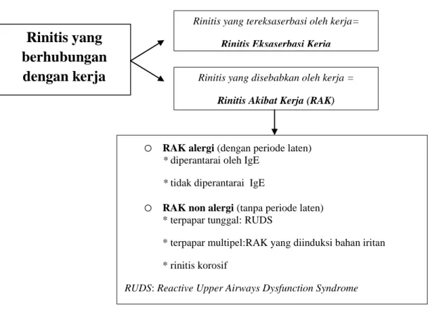 Gambar 2.2. Klasifikasi rinitis akibat kerja (Moscato dkk., 2009).       