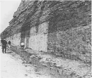 Gambar  9-7. Singkapan batugamping berlapis yang kaya akan  cangkal (shell), berumur Ordovisium, tersingkap di Lexington,  Kentucky