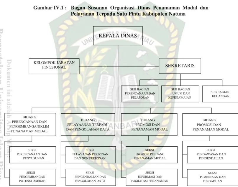Gambar IV.1 :  Bagan  Susunan  Organisasi  Dinas  Penanaman  Modal  dan  Pelayanan Terpadu Satu Pintu Kabupaten Natuna 