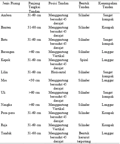 Tabel 3. Karakterisasi morfologi tandan tanaman pisang  