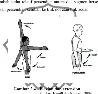 Gambar 2.4  Flexion dan extension