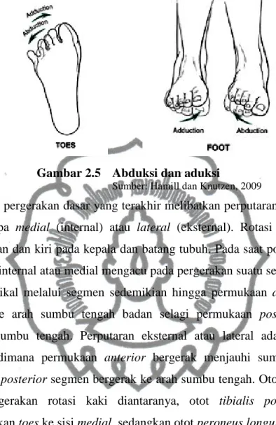 Gambar 2.5  Abduksi dan aduksi 