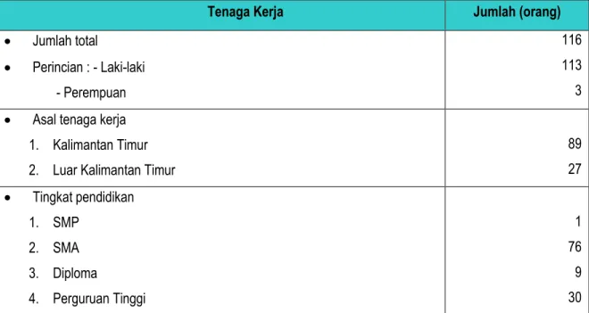 Tabel 13 Data Tenaga Kerja PT. SHJ II 