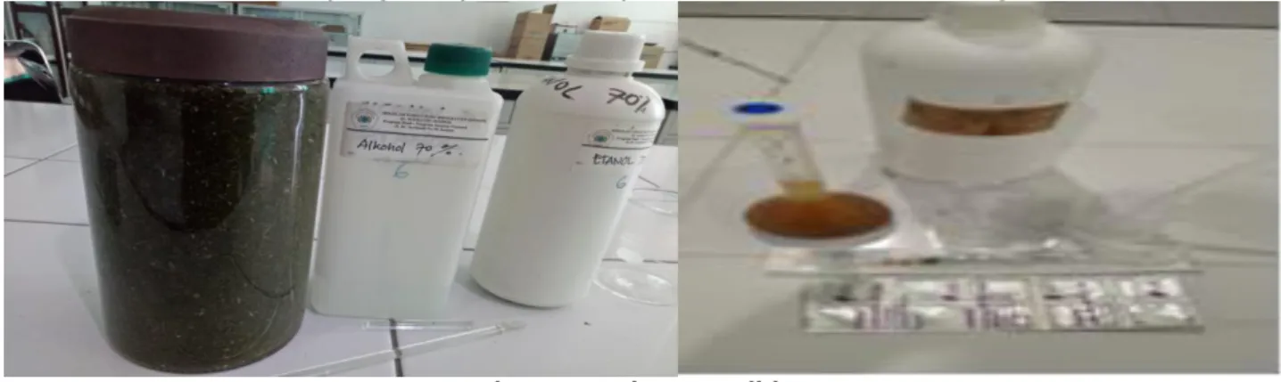 Figure 1. Bahan penelitian 